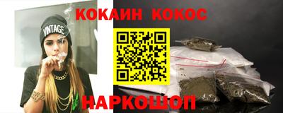 гашик Гай