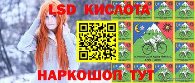 гашик Гай