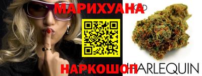 гашик Гай