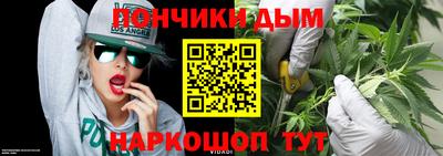 гашик Гай