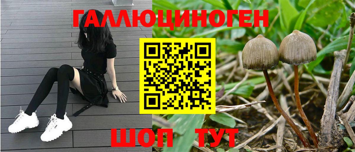 Галлюциногенные грибы Magic Shrooms Грозный