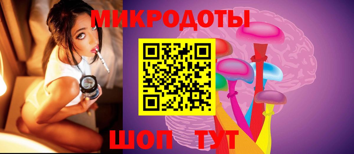Грозный  Псилоцибиновые грибы Psilocybe  Вход с VPN 